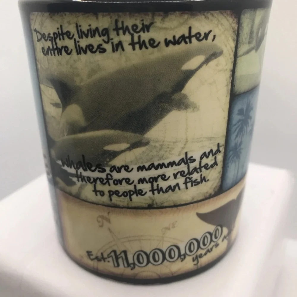 KILLER WHALE COFFEE MUG. SEAWORLD COFFEE TEA CUP Deco  Mug - Picture 4 of 9